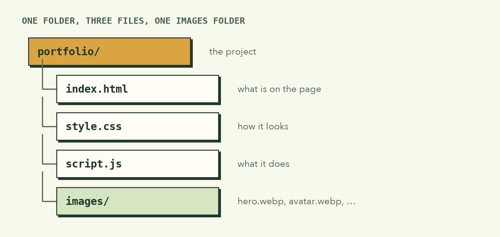 A folder tree: portfolio/ containing index.html (what is on the page), style.css (how it looks), script.js (what it does), and an images/ folder