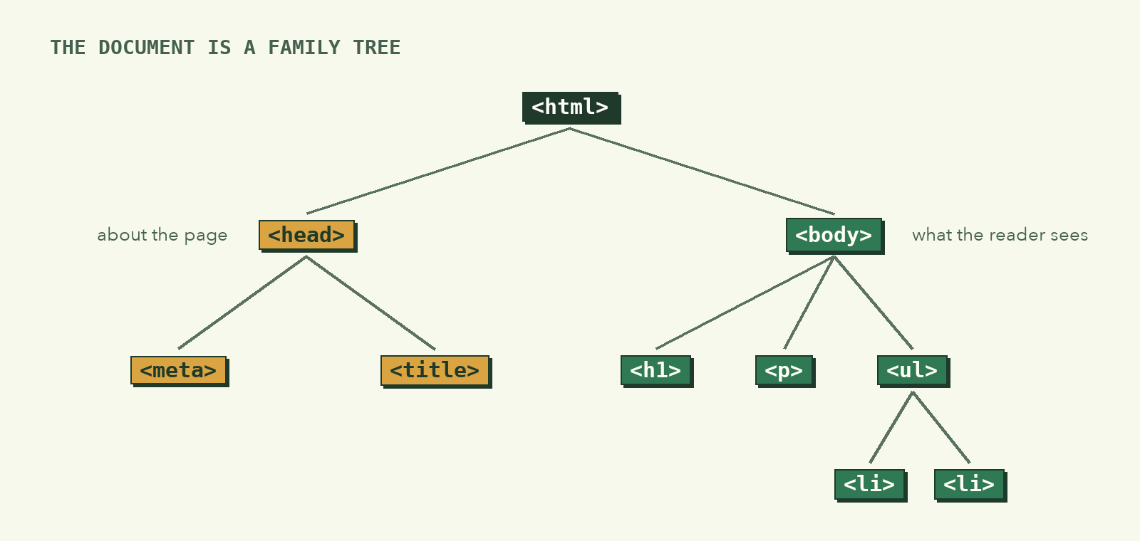A tree: html at the top; head (with meta and title) on the left, about the page; body (with h1, p, and a ul holding two li) on the right, what the reader sees